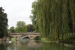 PICTURES/Cambridge - Punting Down the Cam River/t_DSC02711.JPG